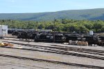 NS Altoona Works